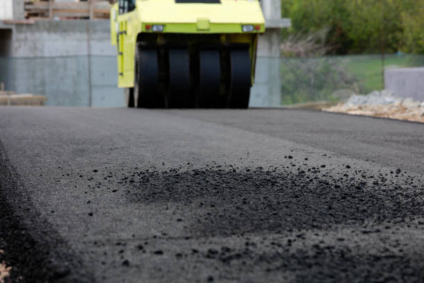 Best Driveway Paving Contractor  in Pumpkin Center, NC
