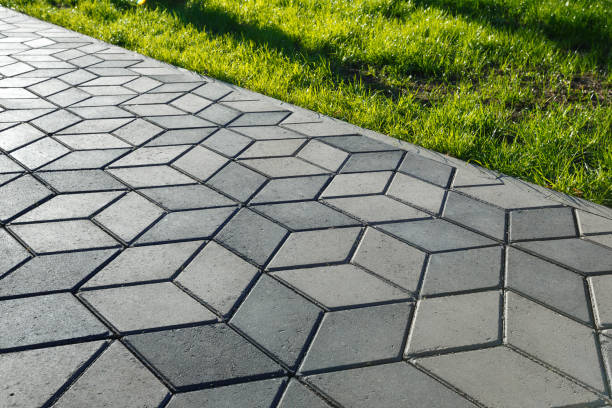Best Commercial Driveway Pavers  in Pumpkin Center, NC