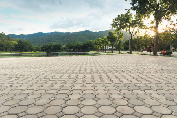 Best Brick Driveway Pavers  in Pumpkin Center, NC