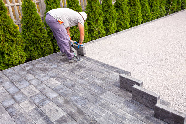 Best Driveway Pavers Near Me  in Pumpkin Center, NC