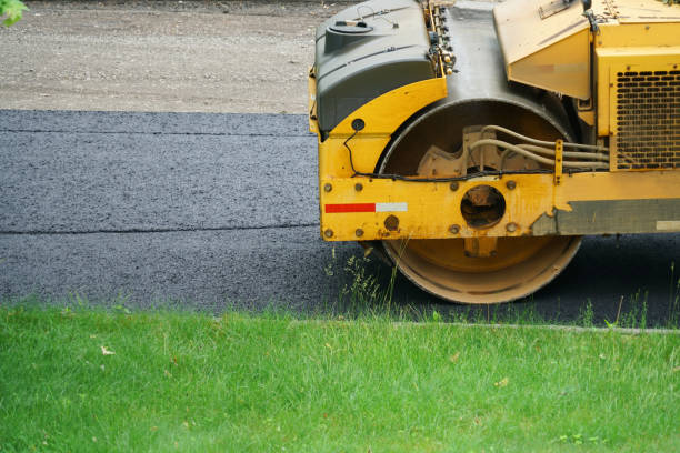 Best Professional Driveway Pavers  in Pumpkin Center, NC